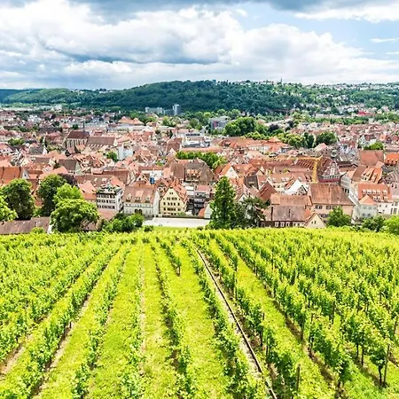 Kleines Gut Und Preiswert Estugarda